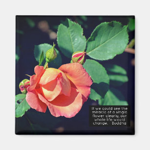 Rosa Budgetierung Rose Motivierend Zitat Magnet