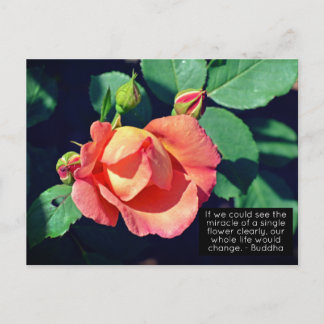 Rosa Budgetierung Rose Motivierend Zitat Postkarte