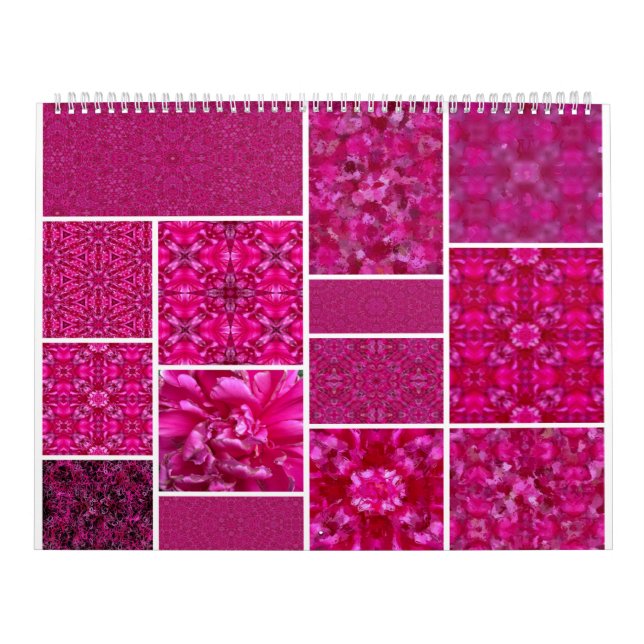 Rosa Cabbage-Rose Kalender (Titelbild)