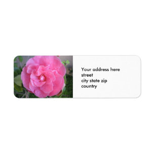 Rosa Camelia Blüten-Rücksendeadresse-Aufkleber