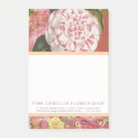 Rosa Camellia Blume Shop oder Florist Vintag