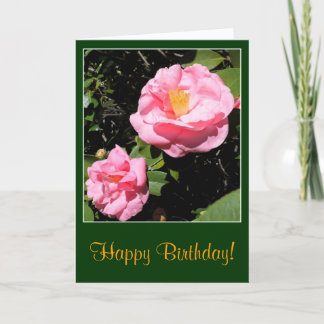 Rosa Camellia Geburtskarte Karte