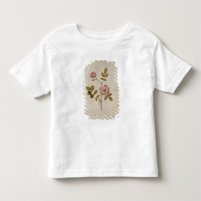 Rosa Canina - Dogrose und Raupe (Bleistift u. mit Kleinkind T-shirt (Vorderseite)