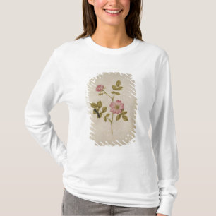 Rosa Canina - Dogrose und Raupe (Bleistift u. mit T-Shirt