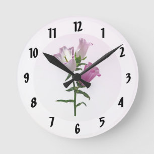 Rosa Canterbury Glockenblumen Runde Wanduhr