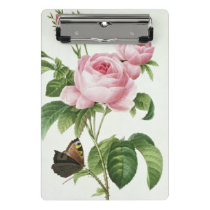 Rosa Centifolia Mini Klemmbrett