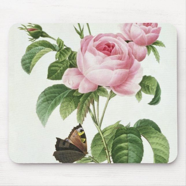 Rosa Centifolia Mousepad (Vorne)