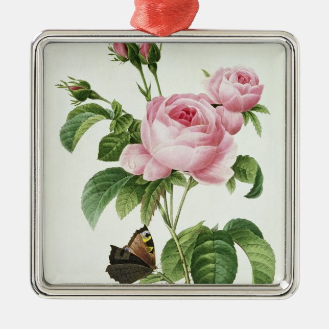 Rosa Centifolia Ornament Aus Metall (Vorne)