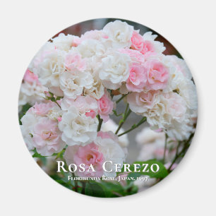 Rosa Cerezo Magnet