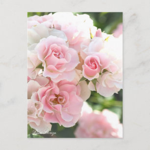 Rosa Cerezo:Postcard_ver.2.0 Postkarte