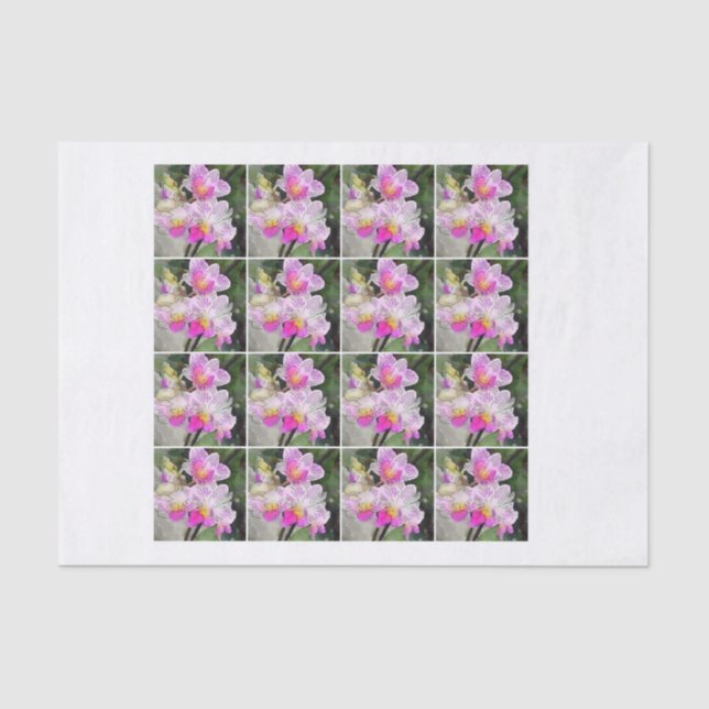 rosa Chintz decoupage Orchidee mit 16 Aquarellen Seidenpapier (Vorderseite)