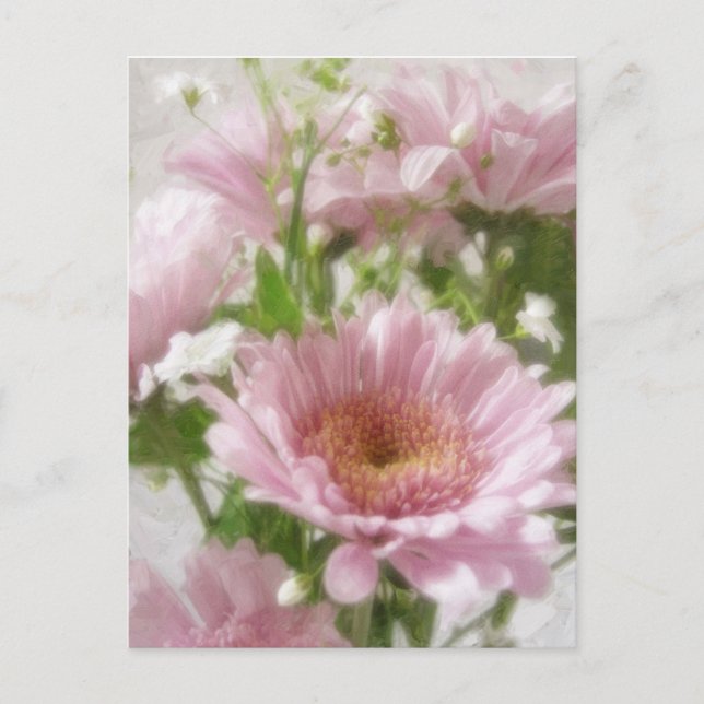 Rosa Chrysanthemas 5 Elegance Postkarte (Vorderseite)