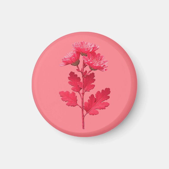 Rosa Chrysantheme  Magnet (Vorne)