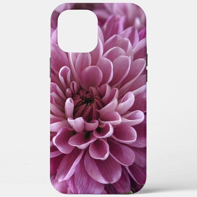 Rosa Chrysanthemen-Blumen-Foto-Design Case-Mate iPhone Hülle (Rückseite)