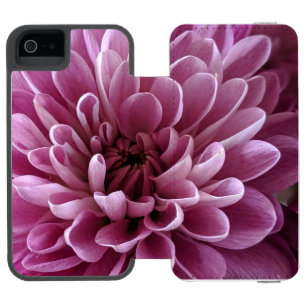 Rosa Chrysanthemen-Blumen-Foto-Design Incipio Watson™ iPhone 5 Geldbörsen Hülle