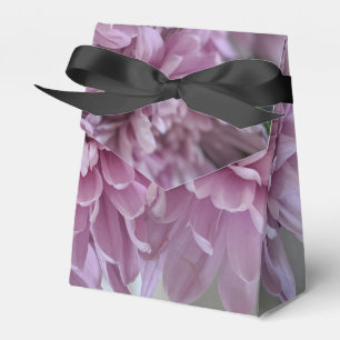 rosa Chrysanthemen-Blumenfoto Geschenkschachtel