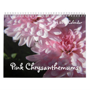 Rosa Chrysanthemen, ein Kalender 2012