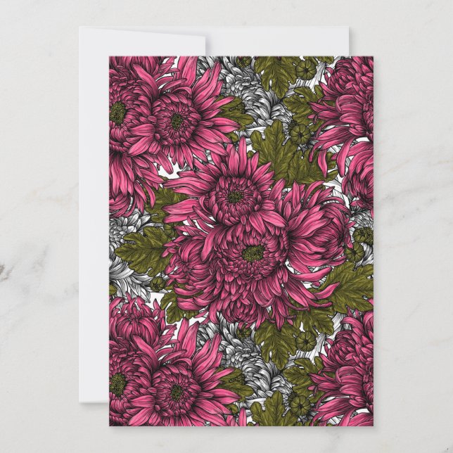 Rosa Chrysanthemenblüten (Vorderseite)