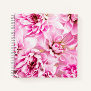 Rosa Chrysanthemum-Blume Notizbuch