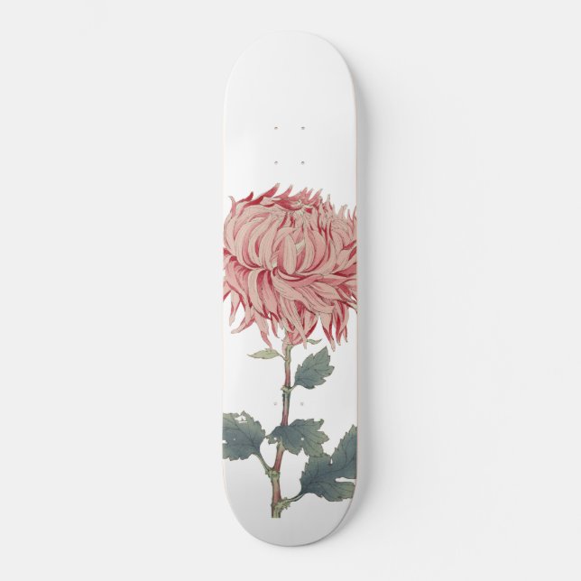 Rosa Chrysanthemum Globe Blume Skateboard (Vorderseite)