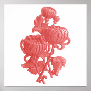 Rosa Chrysanthemum Poster