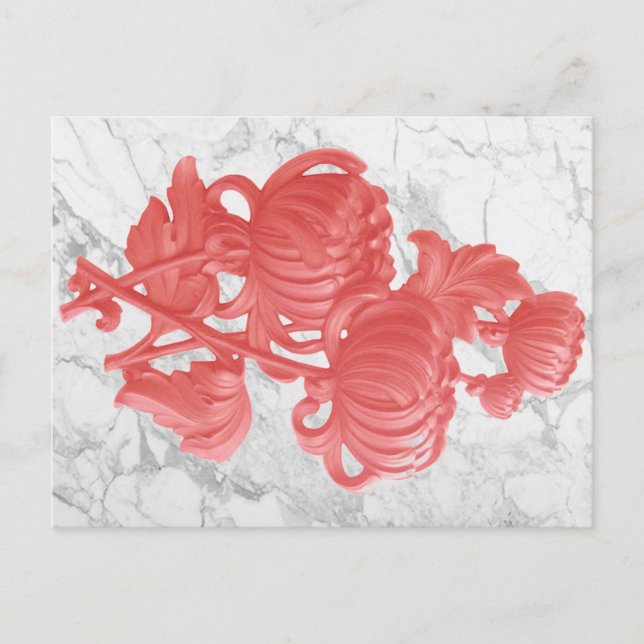 Rosa Chrysanthemum Postkarte (Vorderseite)