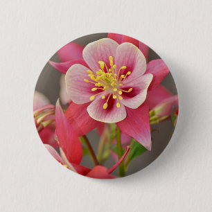 Rosa columbine Blumendruck Button