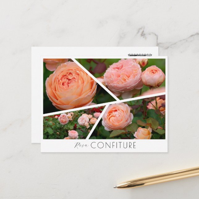  Rosa Confiture Postkarte (Vorderseite/Rückseite Beispiel)