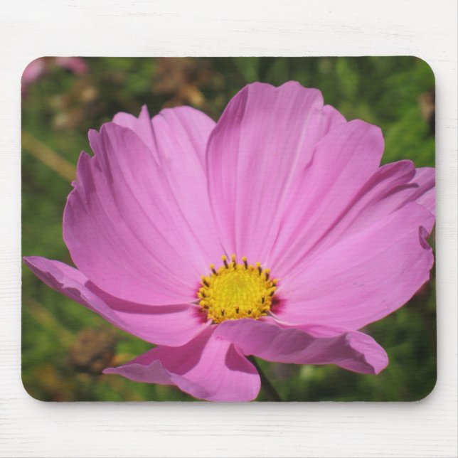 Rosa Cosmo Mousepad (Vorne)