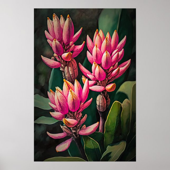 Rosa Curcuma Blume Art Print Poster (Vorne)