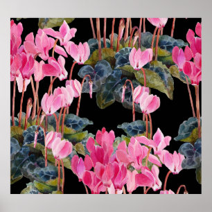 Rosa Cyclamen: Dunkle Aquarellfärbung Poster