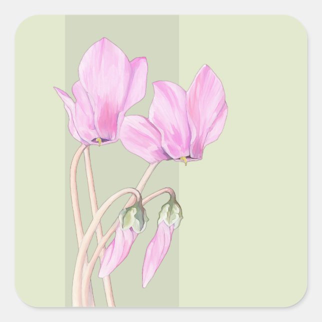 Rosa Cyclamens, grüner Aufkleber auf dem Platz (Vorderseite)
