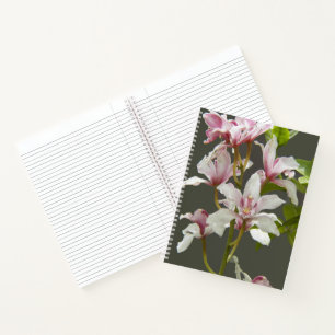Rosa Cymbidium Insigne Orchideen Blumen Notizbuch