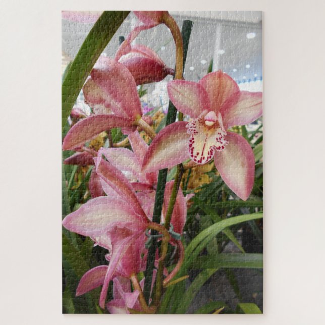Rosa Cymbidium-Orchideen Puzzle (Vertikal)