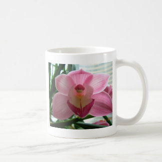 rosa Cymbidium Tasse