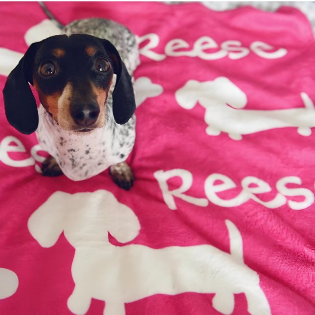 Rosa Dackel Dackel Dog Blanket Name anpassen Fleecedecke (Personalized dachshund blanket - add your doxies name and favorite color)