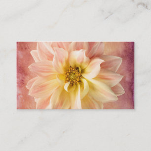 Rosa Dahlia Blume Blossom Flora Visitenkarte
