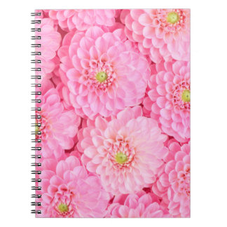 Rosa Dahlia Blume Hintergrund. Top-Ansicht.  Notizblock