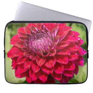 Rosa Dahlia Freude: Schöne Blumenfotografie Laptopschutzhülle