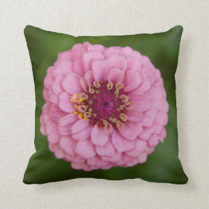 Rosa Dahlia Kissen