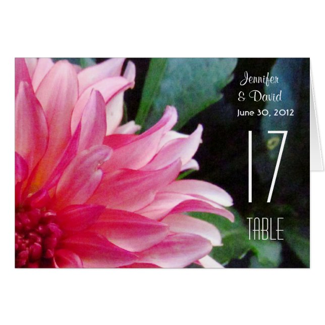 Rosa Dahlia-Tischnummer (Vorderseite (Horizontal))