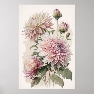 Rosa Dahlias Blume Art Print Poster