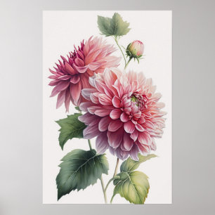 Rosa Dahlias Blume Art Print Poster