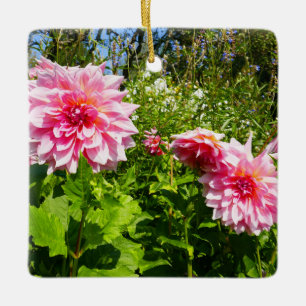 Rosa Dahlias (Otto's Thrill) Keramikornament