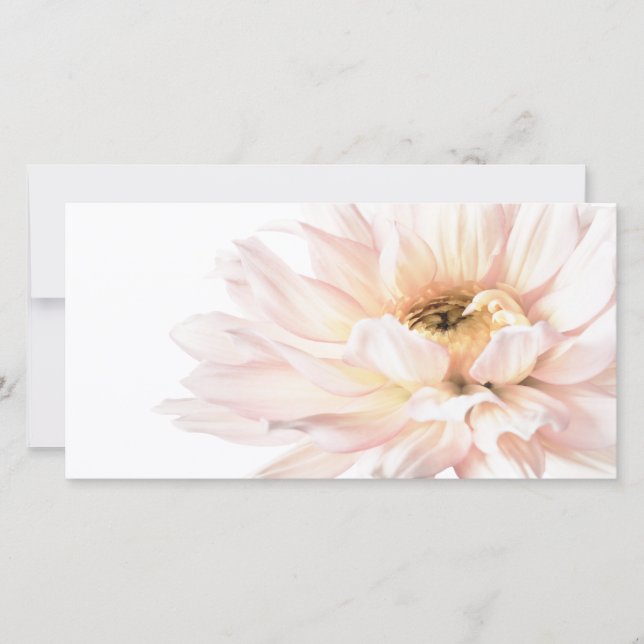 Rosa Dahlie-Blume - Dahlien fertigten Schablone (Vorderseite)