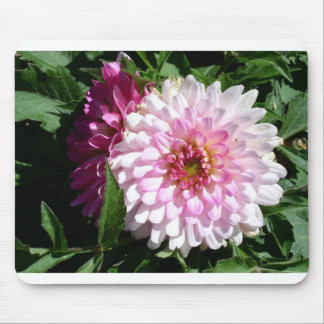 Rosa Dahlie Colorados Mousepad