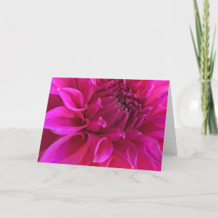Rosa Dahlie-Gruß-Karte Karte
