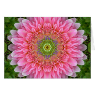 Rosa Dahlie-heilende Mandala