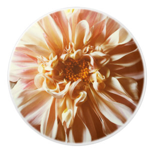 Rosa Dahlie Keramikknauf