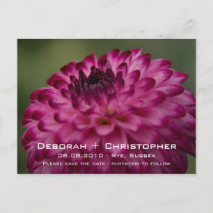 Rosa Dahlie • Save the Date Postkarte